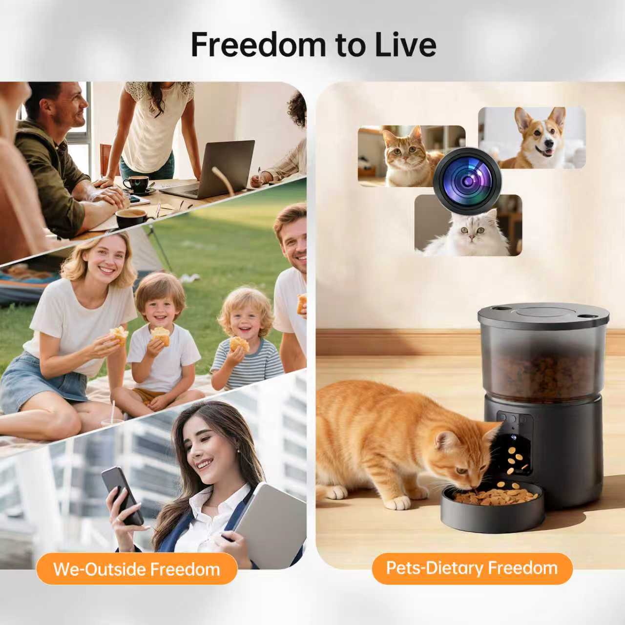 Automatic Cat Feeder with Came - огляд і ціна Smart Pet Feeder Camera Wifi