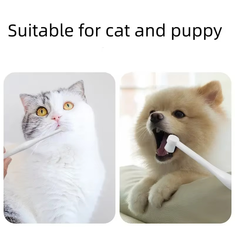 Round Head Pet Toothbrush Remo - огляд і ціна Pet Fountain Cleaning Kit