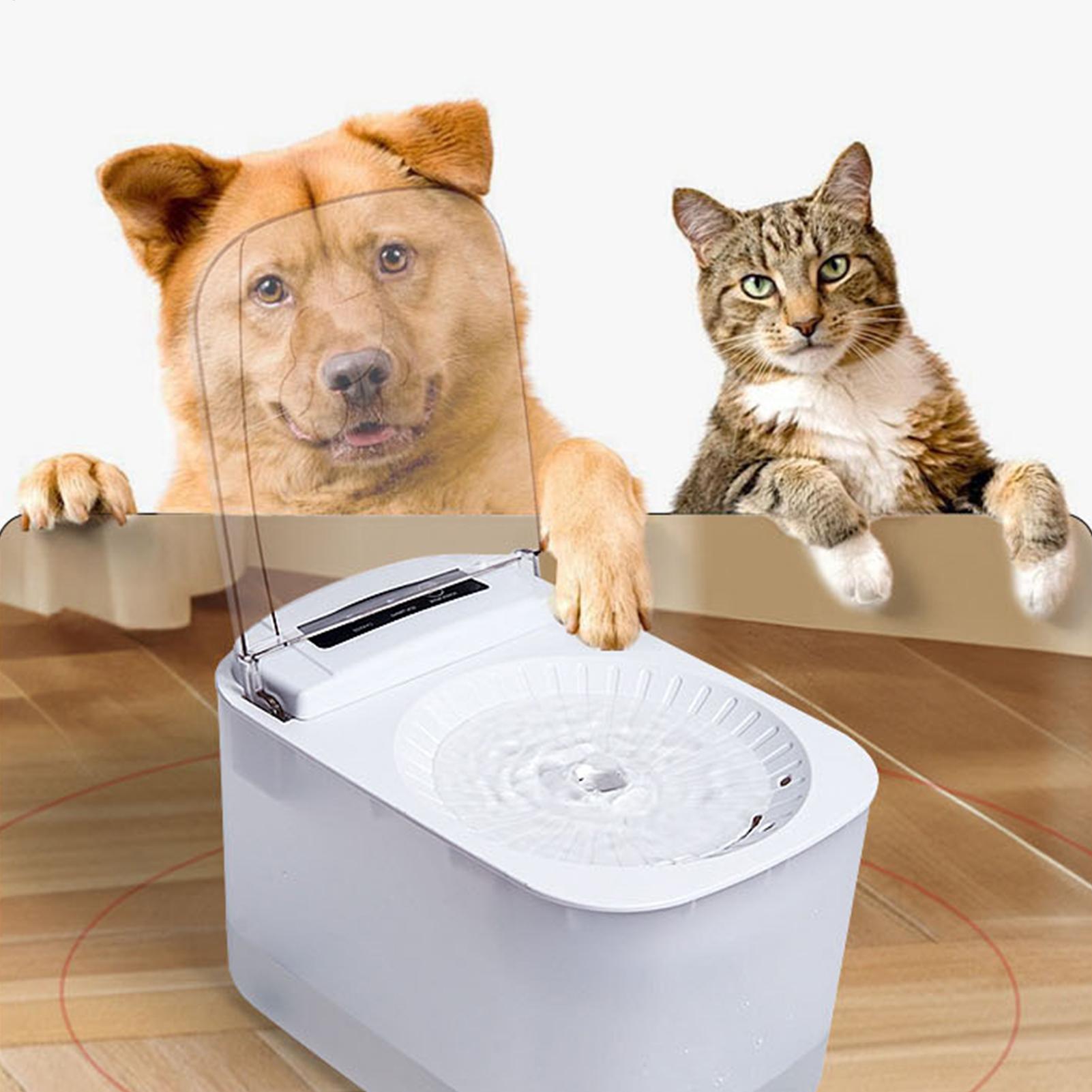 Water Fountains For Cats Indoo - огляд і ціна Automatic Cat Water Dispenser 3L