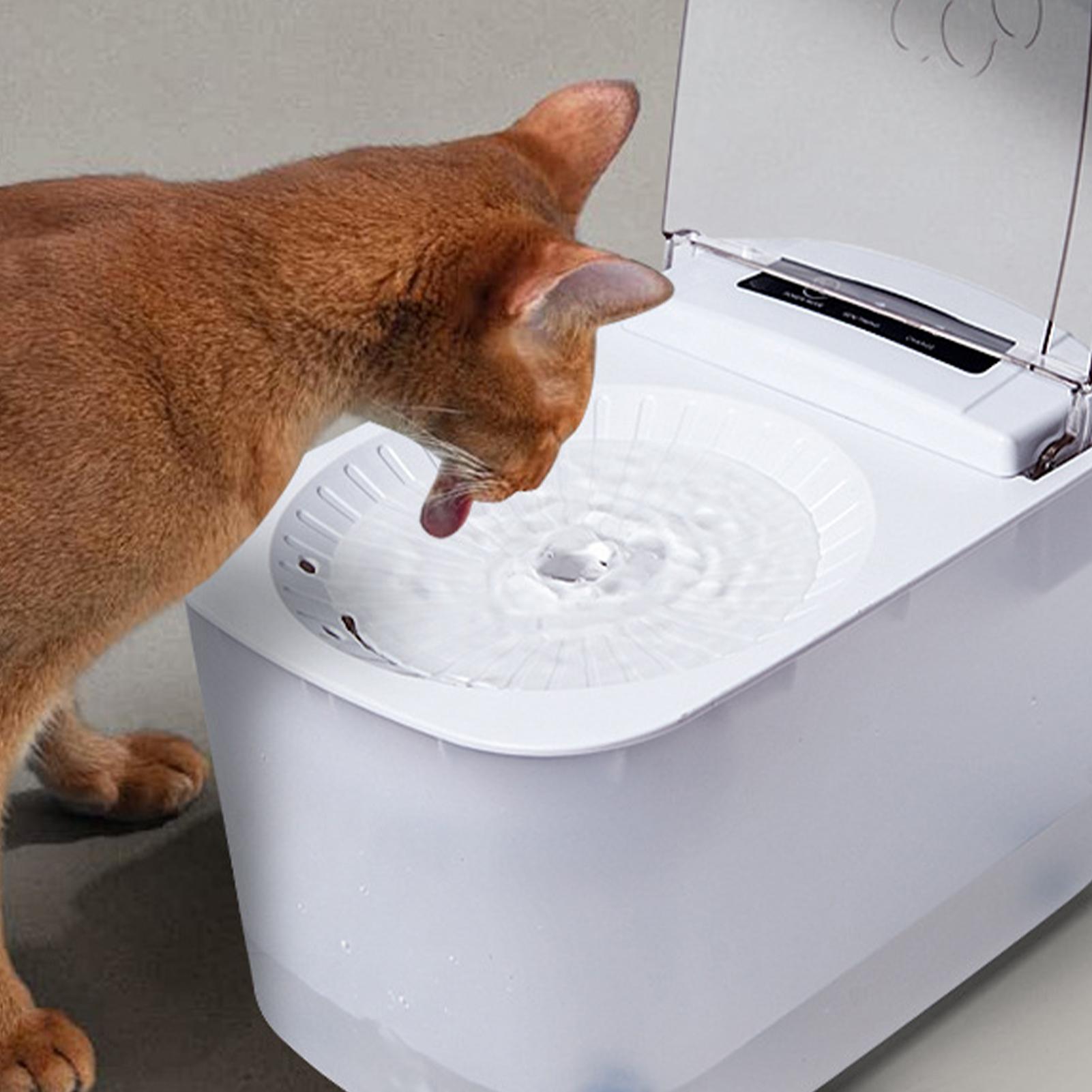 Water Fountains For Cats Indoo - огляд і ціна Automatic Cat Water Dispenser 3L