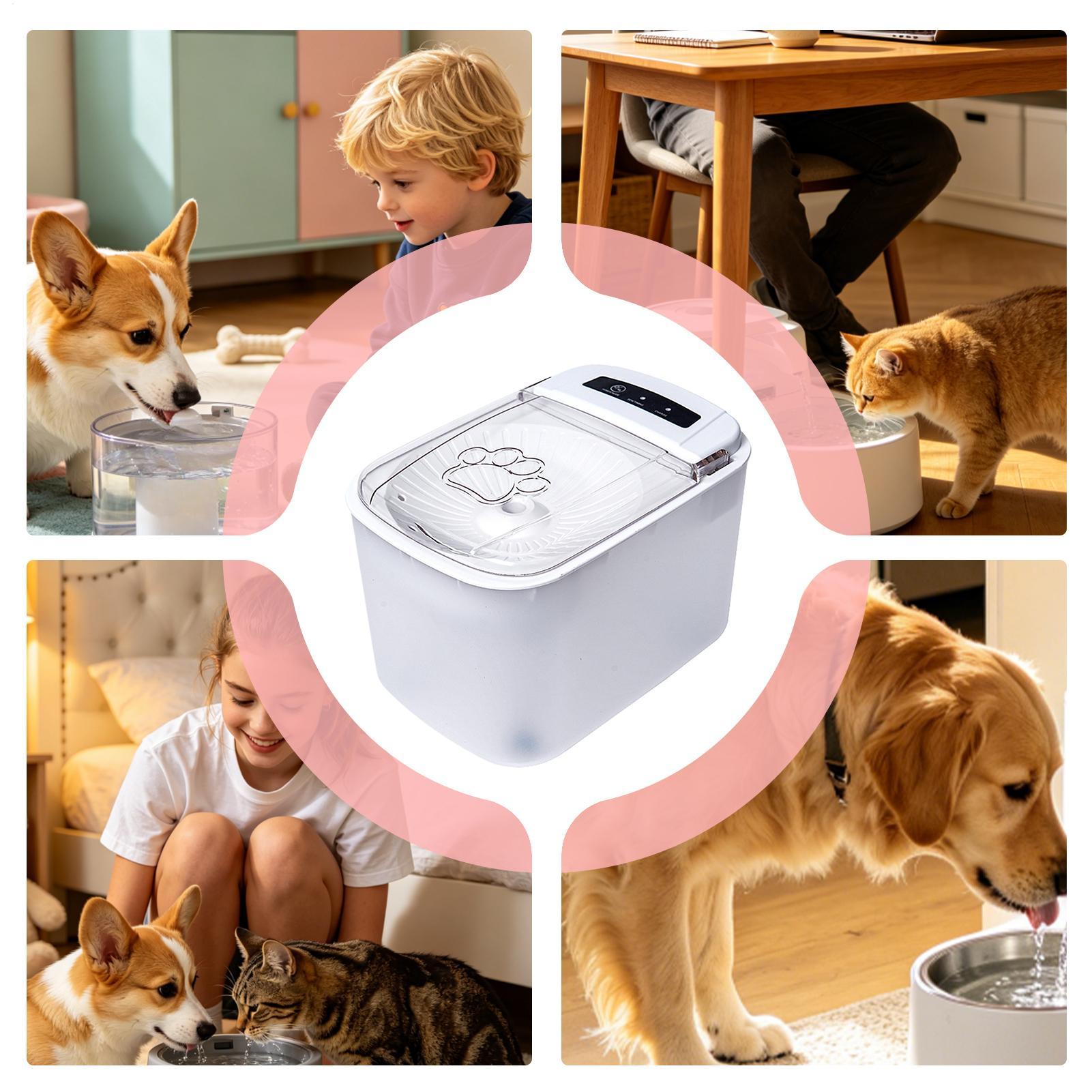 Water Fountains For Cats Indoo - огляд і ціна Automatic Cat Water Dispenser 3L