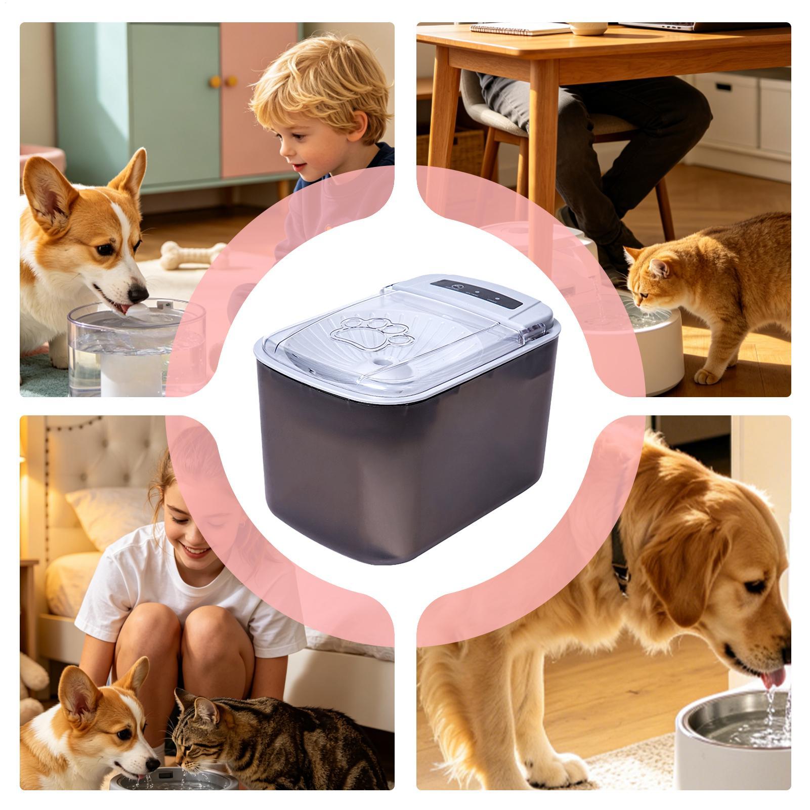 Water Fountains For Cats Indoo - огляд і ціна Automatic Cat Water Dispenser 3L