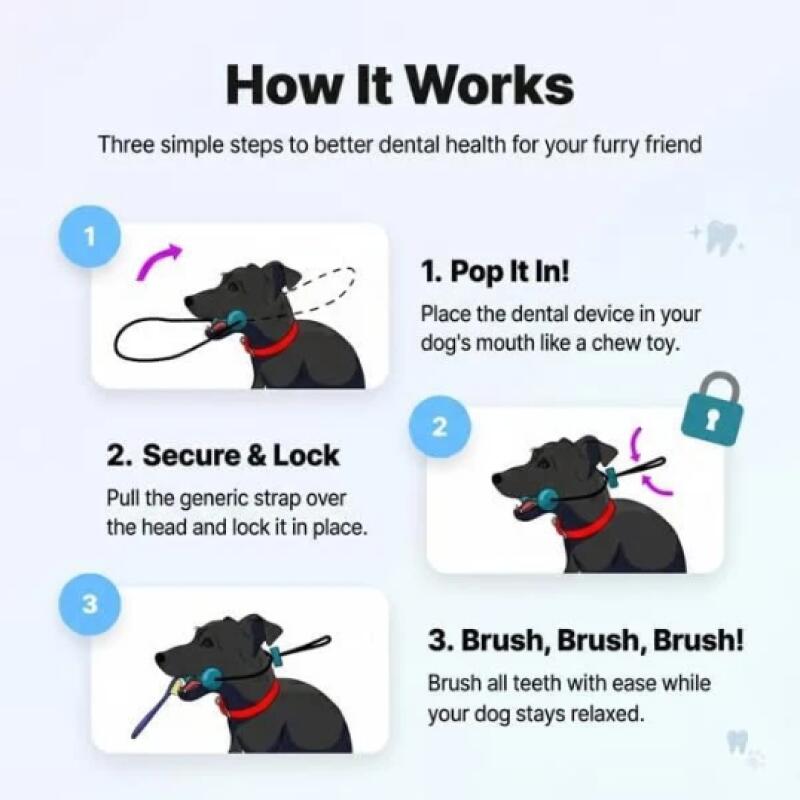 Dual Function Pet Dental Chew  - огляд і ціна Pet Fountain Cleaning Kit