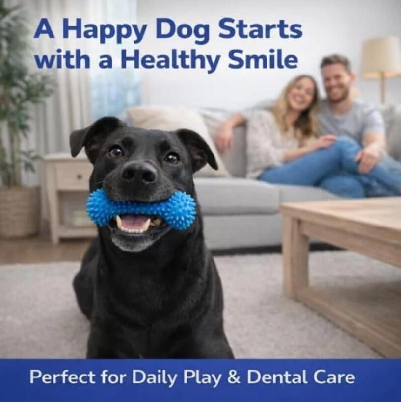 Dual Function Pet Dental Chew  - огляд і ціна Pet Fountain Cleaning Kit