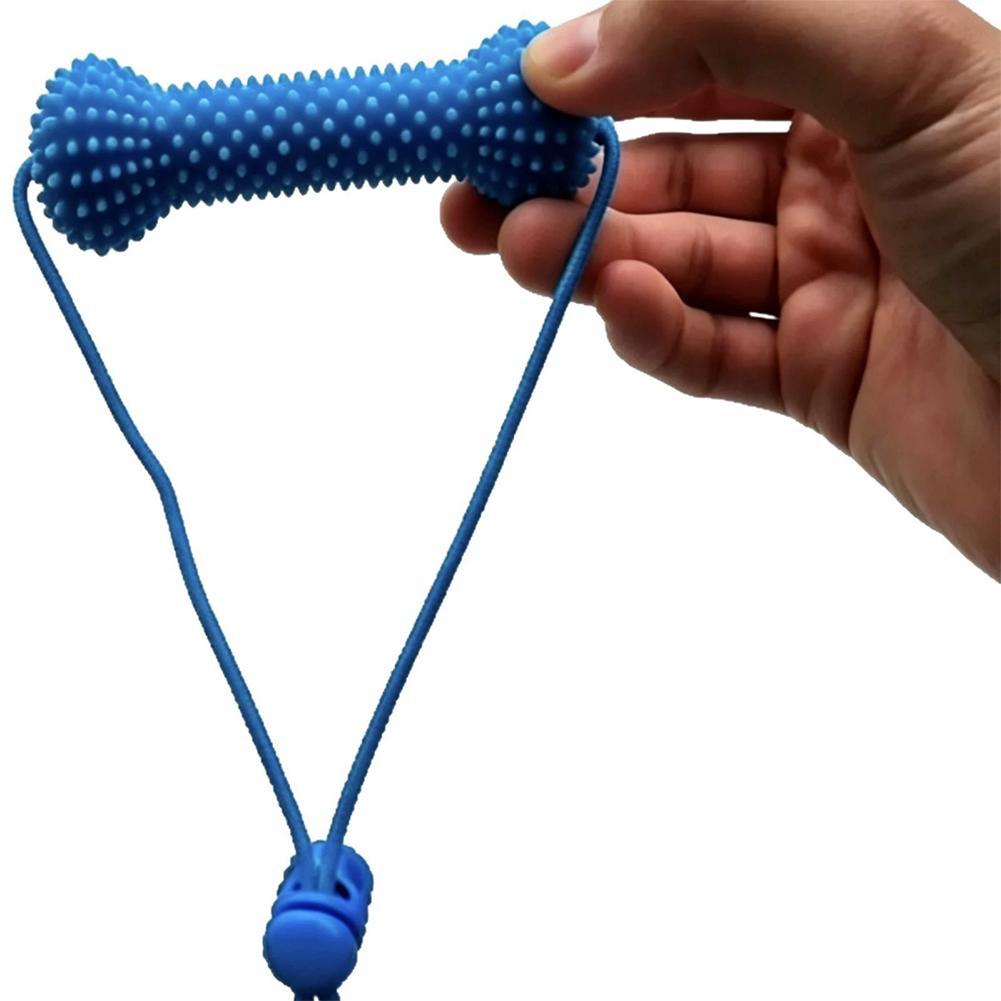 Pet Dental Care Chewing Toy 2i - огляд і ціна Pet Fountain Cleaning Kit