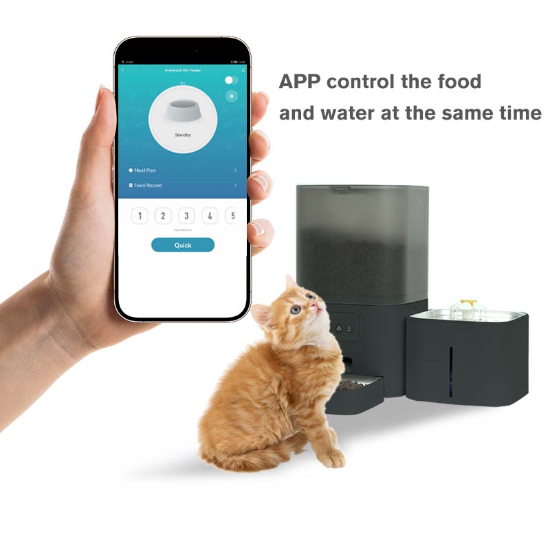 Wifi APP Control Voice Call Fu - огляд і ціна Automatic Cat Feeder 6L Timed