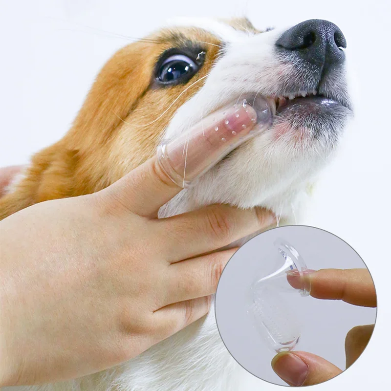 Super Soft Pet Finger Toothbru - огляд і ціна Pet Fountain Cleaning Kit