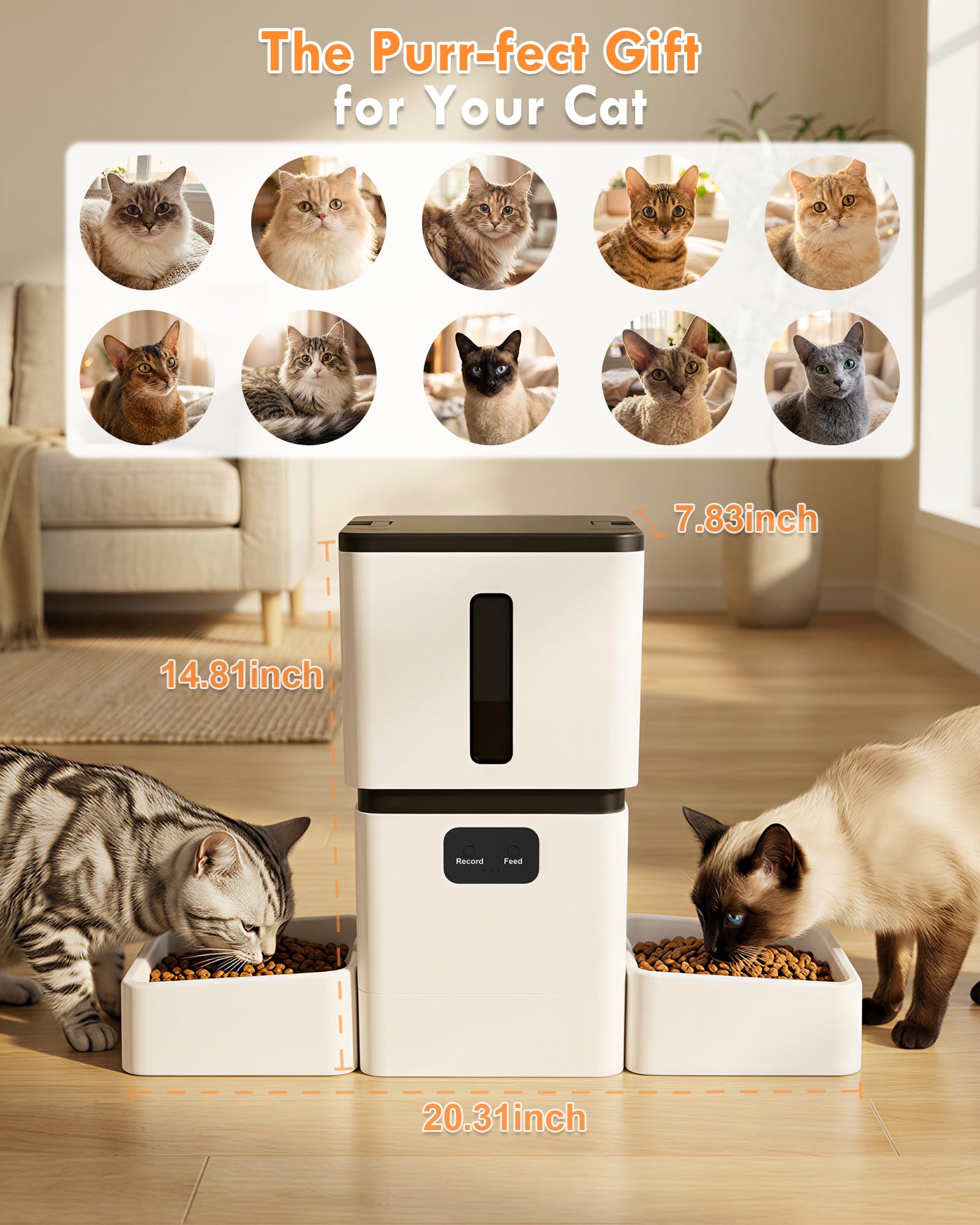 5GHz WiFi 8L Smart Automatic P - огляд і ціна Smart Pet Feeder Camera Wifi
